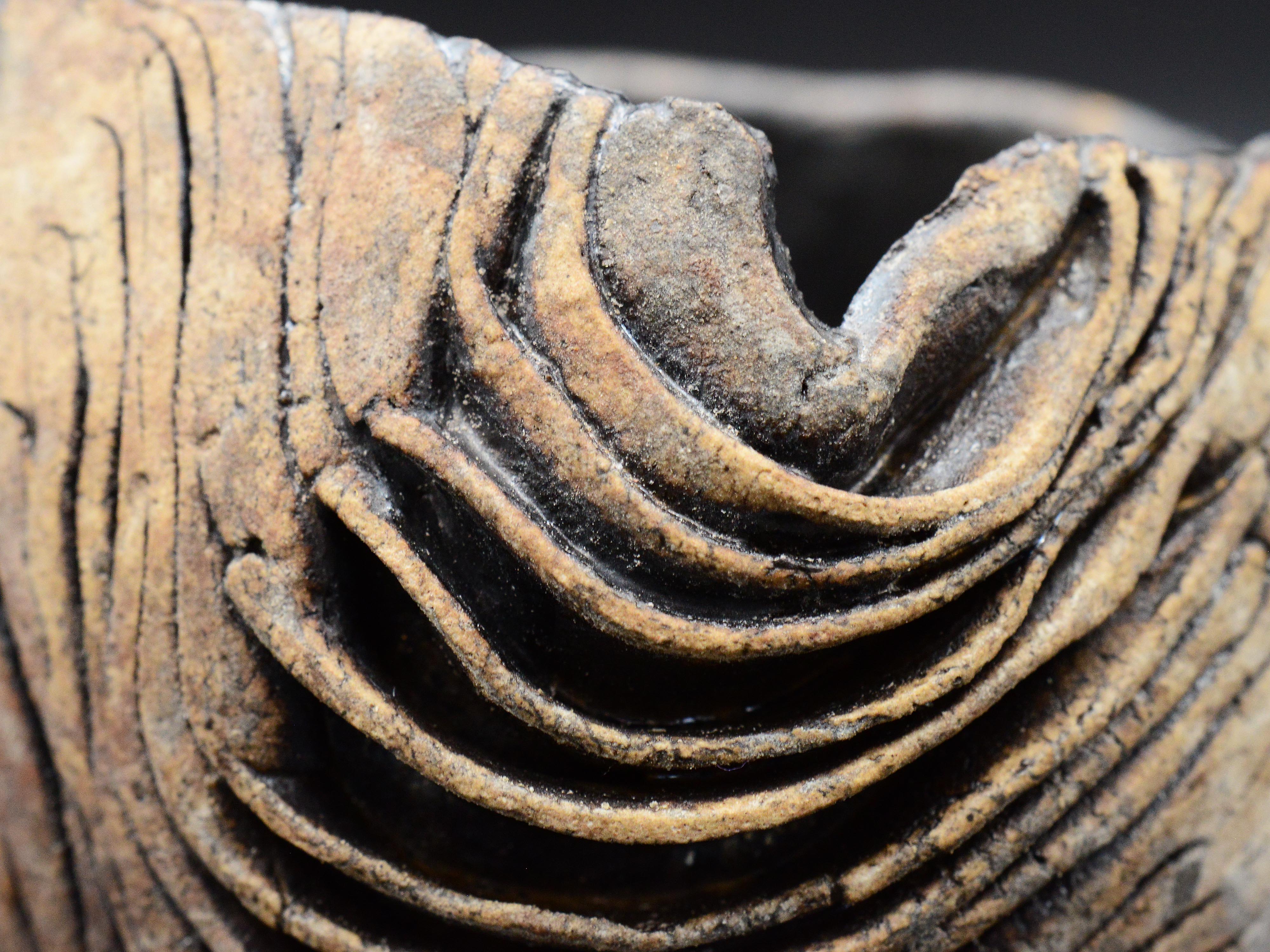 泉田之也 -Yukiya Izumita- – 窯と土～Kama-to-tsuchi～