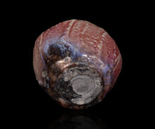 画像をギャラリービューアに読み込む, 塚本治彦 辰砂茶盌