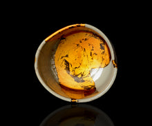 画像をギャラリービューアに読み込む, 布下翔碁 embracing-damage 001