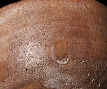 画像をギャラリービューアに読み込む, 岡本作礼 唐津奥高麗茶盌