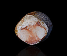 画像をギャラリービューアに読み込む, 小林勇超 窯変流水紋扁壺B