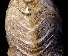 画像をギャラリービューアに読み込む, 小林勇超 窯変流水紋扁壺B