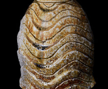 画像をギャラリービューアに読み込む, 小林勇超 窯変流水紋扁壺B