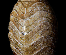 画像をギャラリービューアに読み込む, 小林勇超 窯変流水紋扁壺B