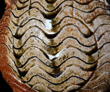 画像をギャラリービューアに読み込む, 小林勇超 窯変流水文扁壺A