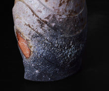 画像をギャラリービューアに読み込む, 小林勇超 窯変衣紋 扁壺