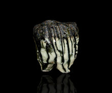 画像をギャラリービューアに読み込む, 塚本治彦 黒織部ぐい呑