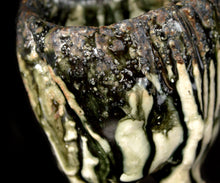 画像をギャラリービューアに読み込む, 塚本治彦 黒織部ぐい呑