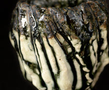 画像をギャラリービューアに読み込む, 塚本治彦 黒織部ぐい呑