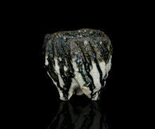 画像をギャラリービューアに読み込む, 塚本治彦 黒織部ぐい呑