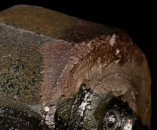 Load image into Gallery viewer, Hiroshi Gozeki Shakusai Sohen-guro Chawan