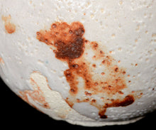 画像をギャラリービューアに読み込む, 加藤亮太郎 志埜茶盌 銘「駿雲」