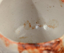 画像をギャラリービューアに読み込む, 加藤亮太郎 志埜茶盌 銘「駿雲」