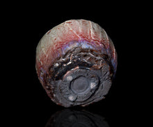 画像をギャラリービューアに読み込む, 塚本治彦 辰砂茶盌