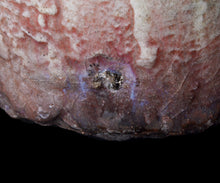 画像をギャラリービューアに読み込む, 塚本治彦 辰砂茶盌