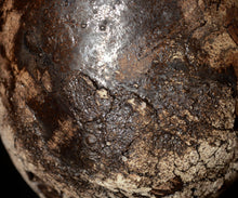 画像をギャラリービューアに読み込む, 泉田之也 積層裂盌