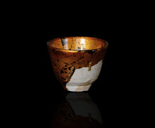 画像をギャラリービューアに読み込む, 布下翔碁 embracing-damage 031