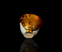 画像をギャラリービューアに読み込む, 布下翔碁 embracing-damage 031