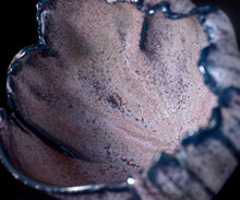 画像をギャラリービューアに読み込む, 加藤真美 フロスト釉茶碗 銘「宵宮」