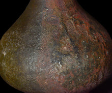 画像をギャラリービューアに読み込む, 三藤るい 黒唐津花入