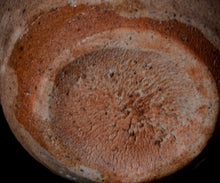 画像をギャラリービューアに読み込む, 三藤るい 唐津ぐい呑