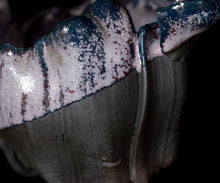 Load image into Gallery viewer, Mami Kato Frost glaze tea bowl inscribed “Sakuya Yonohana”