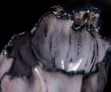 Load image into Gallery viewer, Mami Kato Frost glaze tea bowl inscribed “Sakuya Yonohana”