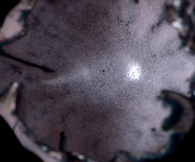 Load image into Gallery viewer, Mami Kato Frost glaze tea bowl inscribed “Sakuya Yonohana”