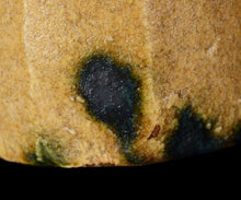 画像をギャラリービューアに読み込む, 松村遷 本沼手黄瀬戸茶盌