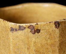 画像をギャラリービューアに読み込む, 松村遷 本沼手黄瀬戸茶盌