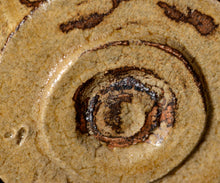 画像をギャラリービューアに読み込む, 松村遷 本沼手黄瀬戸茶盌