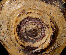 画像をギャラリービューアに読み込む, 松村遷 本沼手黄瀬戸茶盌