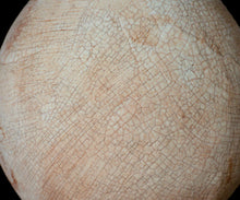 Load image into Gallery viewer, Amanda Tong “mono no aware” Naturally Dyed Flower Vase — Sakura & Katsura —