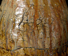 画像をギャラリービューアに読み込む, 松村遷 本沼淡雪手黄瀬戸炻黄壺 銘「龍玉」