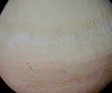 画像をギャラリービューアに読み込む, アマンダトン mono no aware 天然草木染め小壺