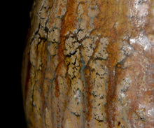 画像をギャラリービューアに読み込む, 松村遷 本沼淡雪手黄瀬戸炻黄壺 銘「龍玉」