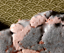 画像をギャラリービューアに読み込む, 若尾利貞 鼡志野陶額 銘「天の川」