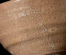 画像をギャラリービューアに読み込む, 金宗勲 大井戸茶盌 銘「無窮」