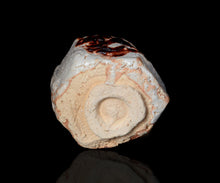 画像をギャラリービューアに読み込む, 松崎健 志埜小服茶盌 銘「舞龍」