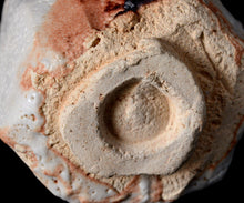 画像をギャラリービューアに読み込む, 松崎健 志埜小服茶盌 銘「舞龍」