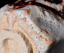 画像をギャラリービューアに読み込む, 松崎健 志埜小服茶盌 銘「舞龍」