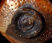 画像をギャラリービューアに読み込む, 松崎健 耀変金志埜茶盌