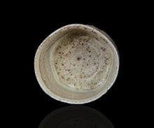 画像をギャラリービューアに読み込む, 竹下鹿丸 相継幽白磁茶盌