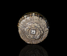 画像をギャラリービューアに読み込む, 塚本治彦 鳴海織部ぐい呑