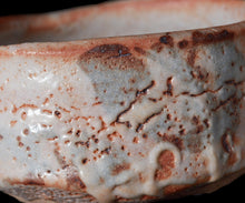 画像をギャラリービューアに読み込む, 奥磯太覚 志野茶盌A