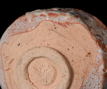 画像をギャラリービューアに読み込む, 奥磯太覚 志野茶盌A