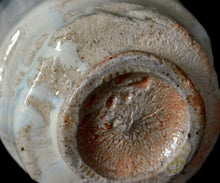 画像をギャラリービューアに読み込む, マイケルマルティノ 斑皮鯨ぐい呑A