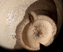 画像をギャラリービューアに読み込む, 吉野桃李 萩茶盌