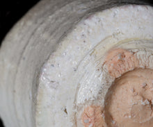 画像をギャラリービューアに読み込む, 竹下鹿丸 幽白磁茶盌