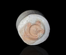 画像をギャラリービューアに読み込む, 竹下鹿丸 幽白磁茶盌